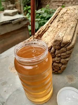 新蜂蜜纯天然农家自产新蜜槐花蜜枣花蜜天然结晶假一赔十500g一瓶