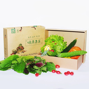 燎原 绿色 蔬菜 礼盒 申通 部分地区 包邮 青菜