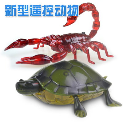 仿真红外线遥控儿童玩具电动遥控乌龟蝎子高仿爬行动物wd-422680