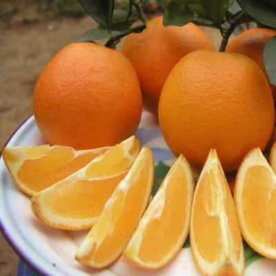醉鲜果园 正宗奉节脐橙5斤礼盒装48元全国可订购 新鲜水果橙子