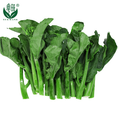 【粤旺】绿色新鲜有机蔬菜 芥兰芥蓝白花芥蓝 500g