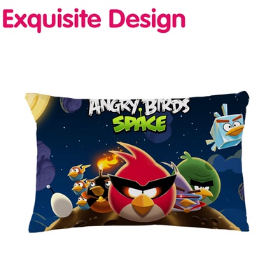 愤怒的小鸟 DIY来图定制抱枕头 图案设计靠背靠垫送人礼品包邮3