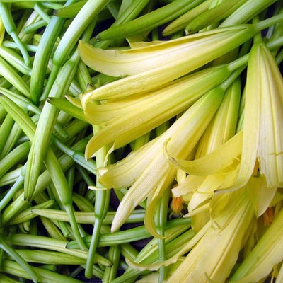 【黄花菜种子】保健类蔬菜种子 金针菜 健脑安神菜 原厂封装种子