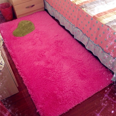 可水洗加厚丝毛地毯门厅茶几地毯室内床边毯飘窗毯工程满铺定制