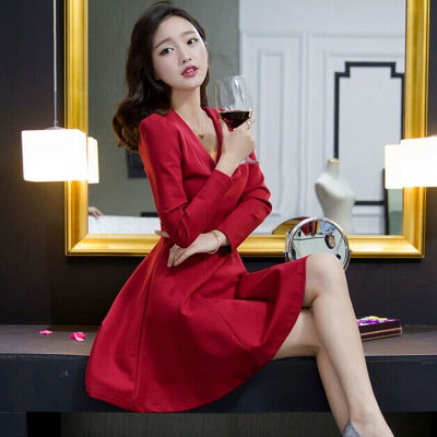 韩国代购 2015秋冬新款纯色V领套头打底裙子长袖连衣裙