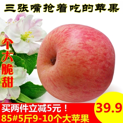 【三张嘴果园】山东烟台苹果栖霞红富士苹果 新鲜水果脆甜多汁5斤