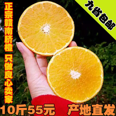 正宗赣南脐橙橙子纯天然农家甜橙新鲜孕妇水果10斤20斤九省包邮
