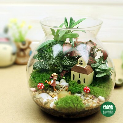 苔藓生态瓶微景观DIY绿植 创意新年礼品 宫崎骏小梅包邮