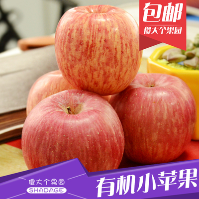 【傻大个果园】陕西红富士小苹果有机富硒水果幼儿园特供12枚