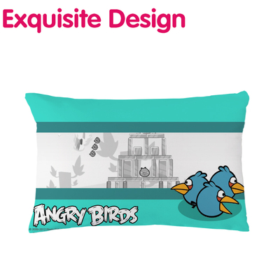 愤怒的小鸟 DIY来图定制抱枕头 图案设计靠背靠垫送人礼品