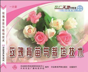 2016年玫瑰种植技术大全/玫瑰栽培技术5光盘1书籍 全新正版包快递