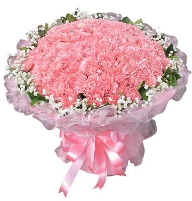 99朵粉红色康乃馨花束昆明鲜花店速递同城重庆成都送妈妈长辈鲜花
