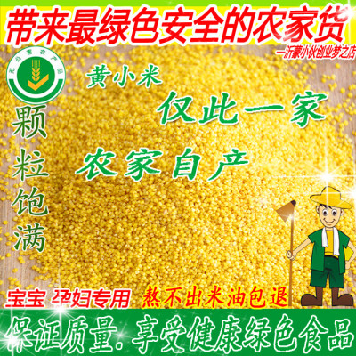 沂蒙农家黄小米小黄米有机黄米 自产小米子 新米月子米 小米250g