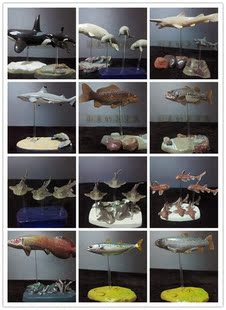 海洋堂Furuta 正品散货 仿真 海洋动物海洋鱼 摆件模型