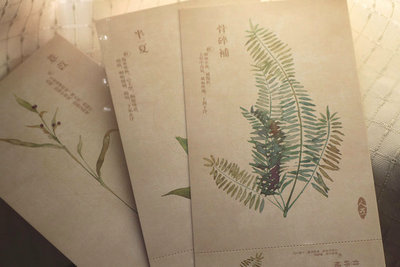 90张明信片套装《手绘本草》植物森林系