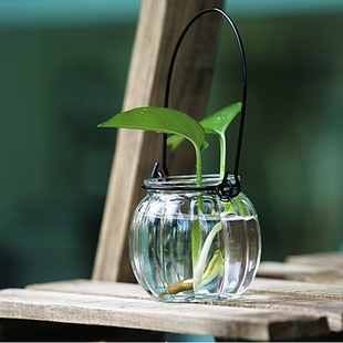 新品南瓜吊瓶 南瓜瓶 玻璃水培容器 插花瓶 水培吊瓶植物吊瓶花盆