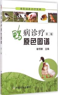 鸭病诊疗原色图谱 畅销书籍 正版 养殖