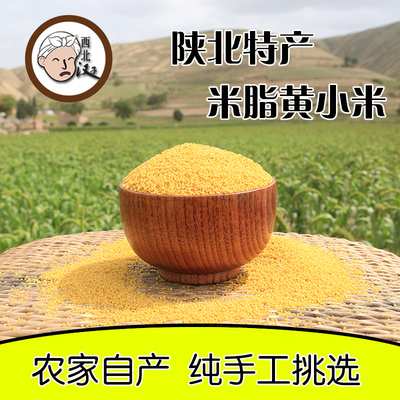 中国贡米陕北特产米脂小米优质黄小米宝宝月子米800g包邮真空包装