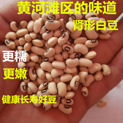白豆 农家自产白小黄豆煲粥豆有机杂粮除湿养生豆类500克煮粥包邮