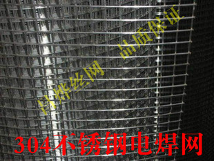 304不锈钢电焊网 不锈钢焊接网 304不锈钢丝网 孔12mm