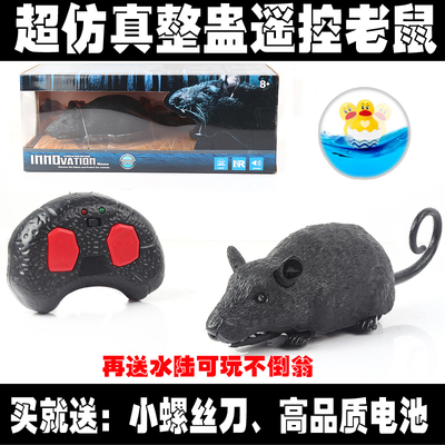 新款整蛊高仿电动遥控动物老鼠儿童玩具益智早教创意仿真遥控玩具