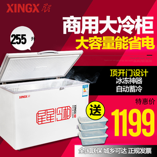 XINGX/星星 BD/BC-255E 冰柜冷柜 家用商用 节能卧式单温冷冻冷藏
