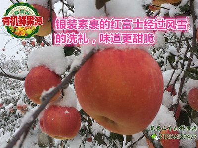 【鲜果源】烟台雪后采摘条纹片红红富士苹果直销85#12粒送礼佳品
