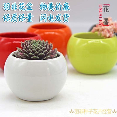 创意白色多肉植物现代简约盆栽桌面大小种桌面圆球陶瓷促销花盆