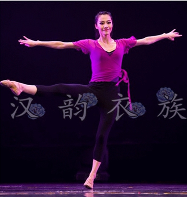 古典舞 水袖舞蹈服 古典舞练功服 民族舞台服饰 藏族舞蹈演出服装