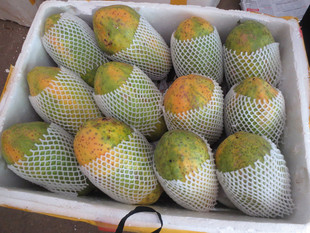 新鲜水果木瓜 夏威夷/海南红心木瓜批发 非青木瓜 5斤装包邮