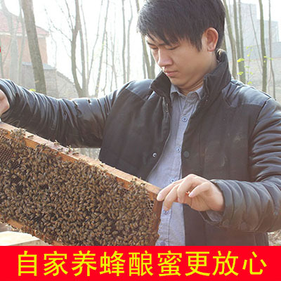 蜂蜜纯天然农家自产野生深山洋槐蜜槐花蜜无添加成熟蜜糖PK土蜂蜜