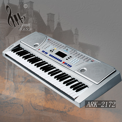 爱尔科61键电子琴多功能初学儿童电子琴标准钢琴键  ARK-2172