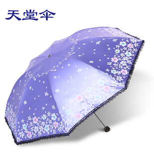 2015天堂伞 33138E春色宜人 遮阳晴雨伞 折叠黑胶防紫外线太阳伞