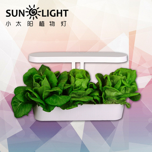 小太阳植物灯 奶油生菜 冰菜 全家福 智能家居蔬菜培育箱
