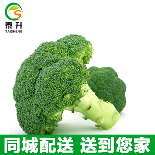 泰升生态自产自营基地直供优质蔬菜西兰花500g（斤）