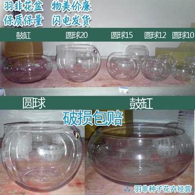 桌面透明玻璃碗莲睡莲缸简约水培鱼乌龟花器圆形圆球鼓缸欧式花盆