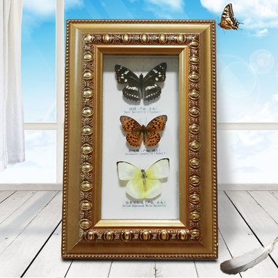 天然真蝴蝶标本相框16*27 工艺摆件收藏生日结婚送礼昆虫 包邮