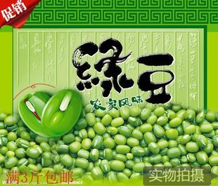 天天特价夏天阳台菜种子豆芽机专用蔬菜种子芽苗菜绿豆芽芽菜籽