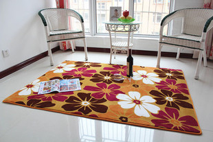 特价包邮珊瑚绒地毯图案地毯卧室客厅茶几地毯门垫浴室垫可以定做