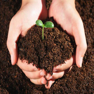 掺入营养介质栽花土 高效透气营养土 花卉肥料土 蔬菜专用营养土
