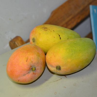 热带新鲜水果  新鲜芒果 台农芒果 又香又甜的芒果 10斤装包邮