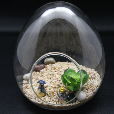 创意微景观花瓶玻璃瓶透明玻璃苔藓微景观生态瓶桌面绿植创意花瓶