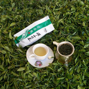 春茶限量 崂山绿茶  豌豆香大田茶叶 2015年有机高山绿茶