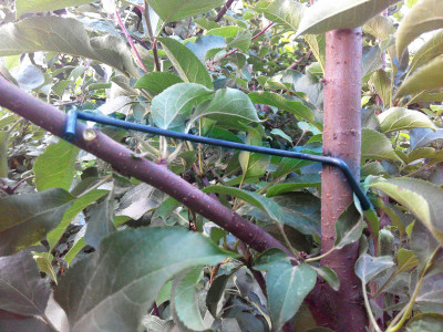 果树开角器 改进型拉枝器 拨枝器 环剥刀 园林工具别枝器
