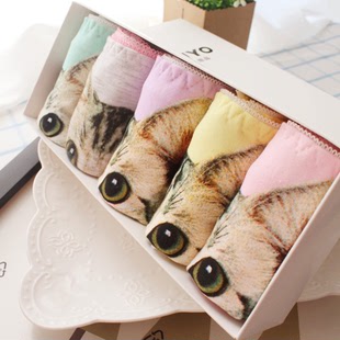 【5条盒装】个性喵星人3D猫咪图案纯棉女士三角内裤
