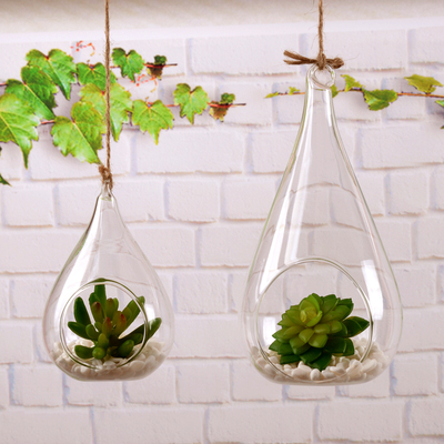 悬挂玻璃瓶多肉植物玻璃吊瓶花瓶摆件微景观生态瓶婚庆家居装饰品