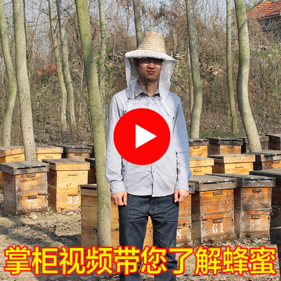 蜂蜜纯天然农家自产野生深山洋槐蜜槐花蜜无添加成熟蜜糖PK土蜂蜜
