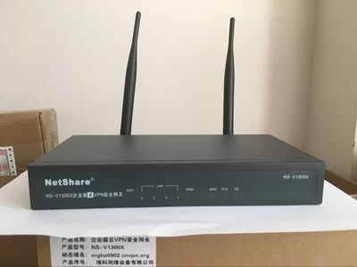 Netshare 瑞科VPN NS-V1300X企业级云VPN
