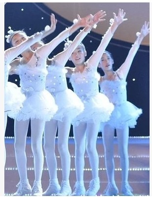 女童小天鹅舞演出服 表演服装芭蕾舞蹈服儿童白纱裙飞呀飞蓬蓬裙