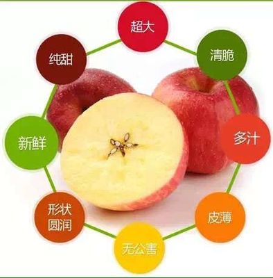 陕西苹果水果新鲜高原红富士苹果非嘎啦多汁清脆皮薄糖心香甜